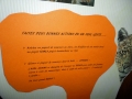 Recolte de semences