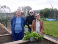 Légumes oubliés