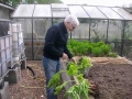 Légumes oubliés